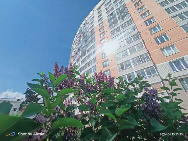 Апартаменты Алеся Екатеринбург-55